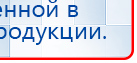 СКЭНАР-1-НТ (исполнение 01)  купить в Верхней Салде, Аппараты Скэнар купить в Верхней Салде, Скэнар официальный сайт - denasvertebra.ru